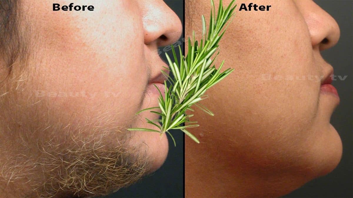 Rosemary for Hair Growth Reduction