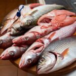 fish food recipes